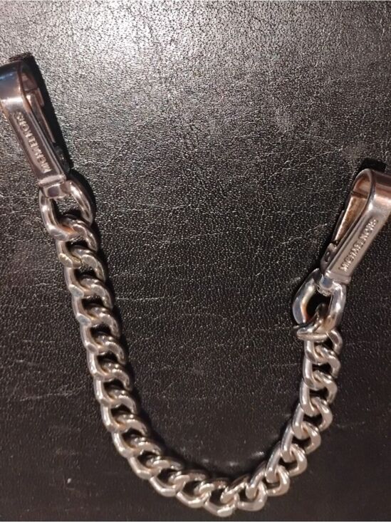 Michael Kors Handbags - Michael Kors Silver Curbed Chain Strap with Logo Clips